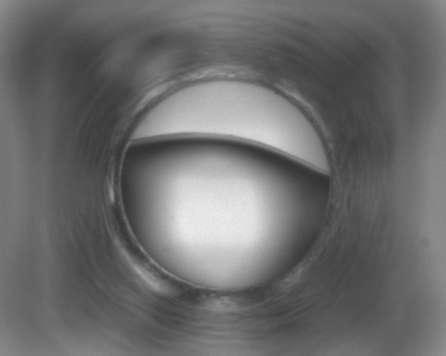 X0000083060062200702021046