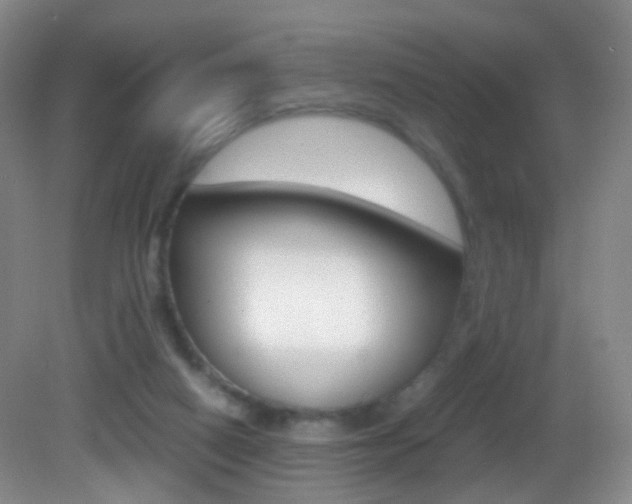 X0000083060066200702021046