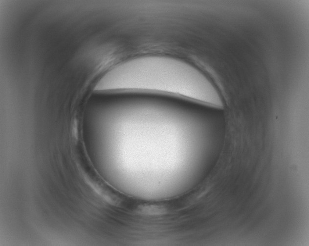 X0000083060067200702021047