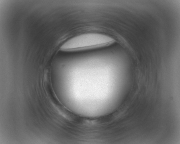 X0000083060071200702021047