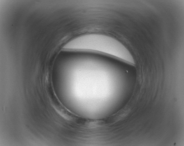 X0000083060072200702021047