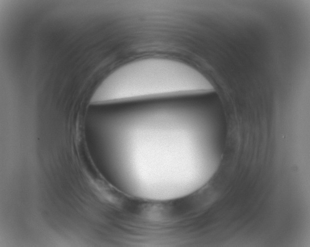 X0000083060074200702021047