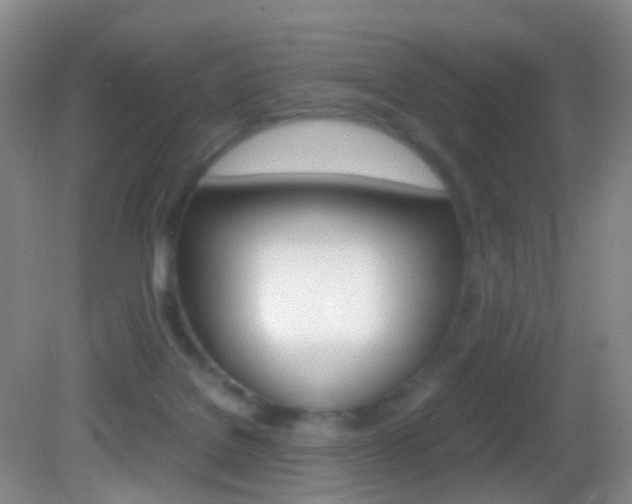 X0000083060076200702021047