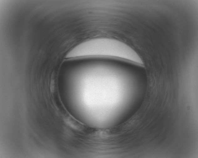 X0000083060080200702021047