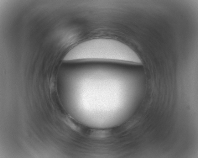 X0000083060081200702021047