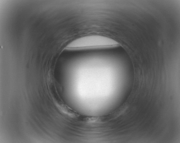 X0000083060088200702021047