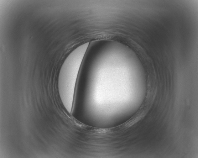 X0000083060096200702021047