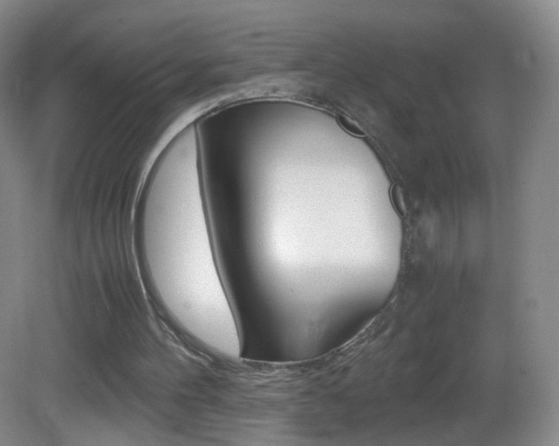 X0000083060100200702021046