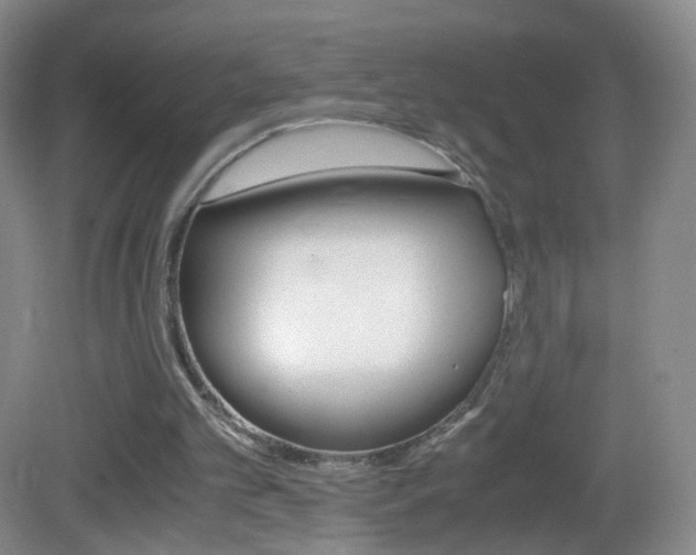 X0000083060101200702021046