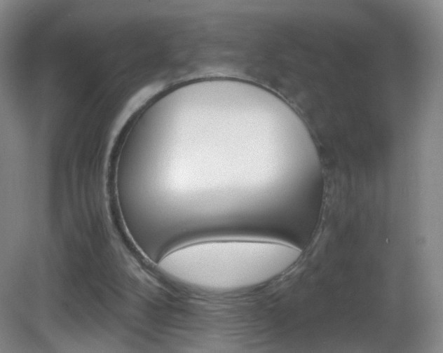 X0000083060104200702021046