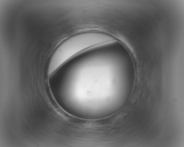 X0000083060105200702021046