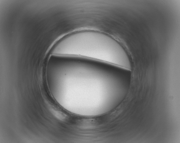 X0000083060108200702021046