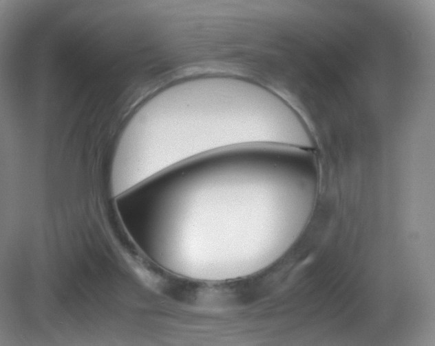 X0000083060109200702021046