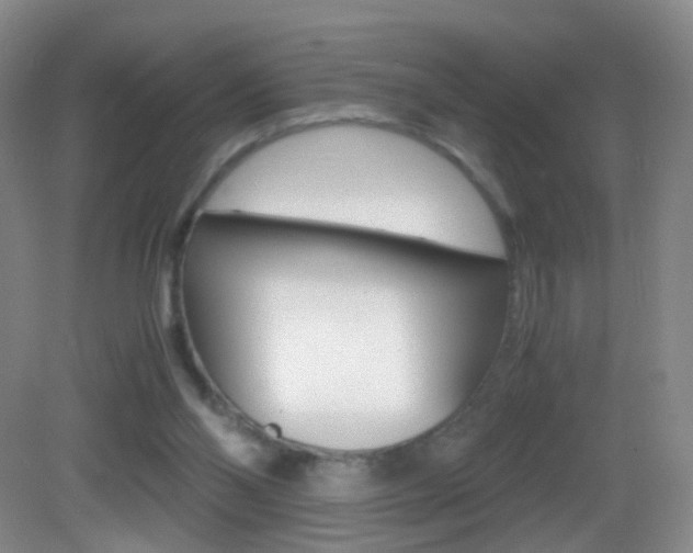 X0000083060110200702021046