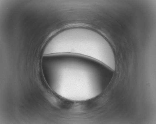 X0000083060111200702021046