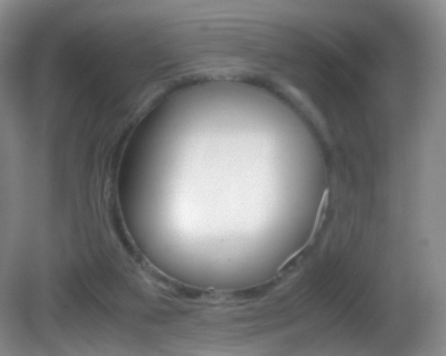 X0000083060113200702021046