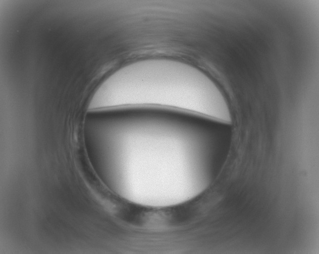 X0000083060115200702021046