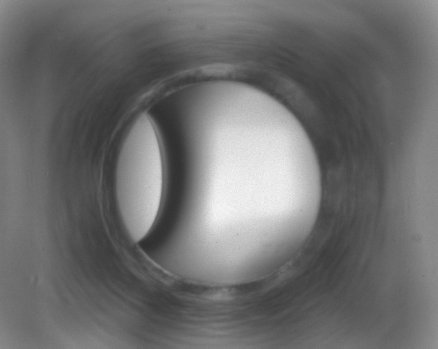 X0000083060116200702021046