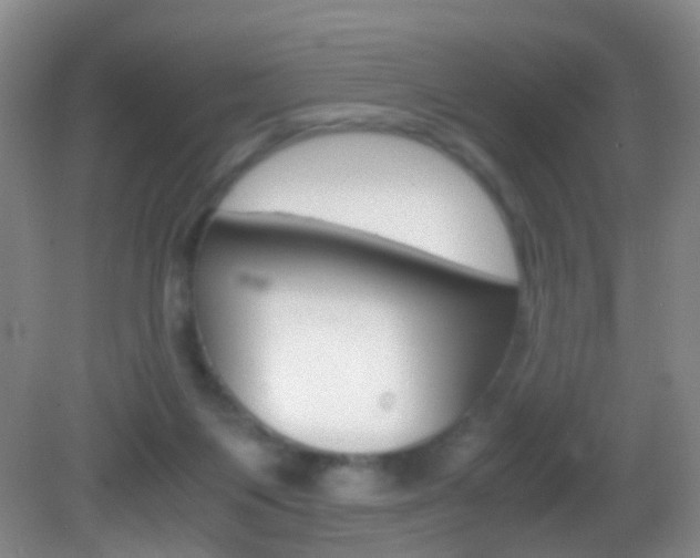 X0000083060119200702021046