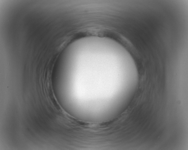 X0000083060121200702021046
