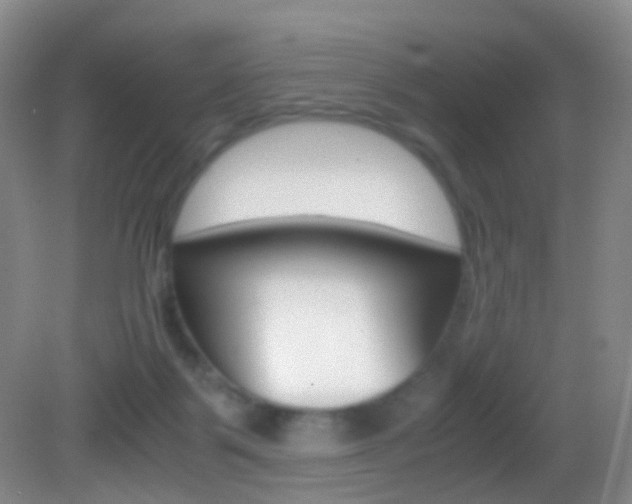 X0000083060123200702021046