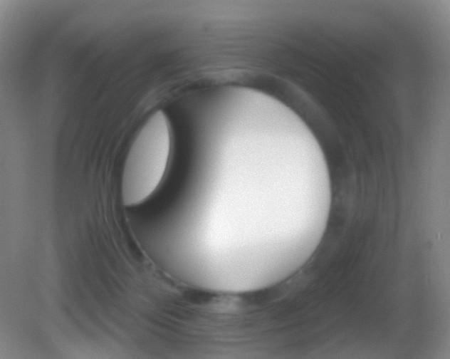 X0000083060124200702021046