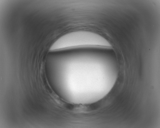 X0000083060125200702021046