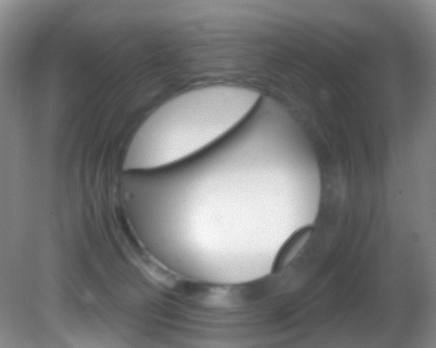 X0000083060130200702021046