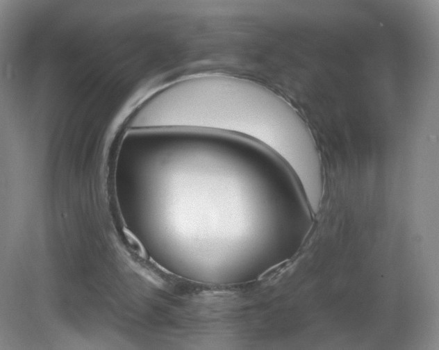 X0000083060150200702021045