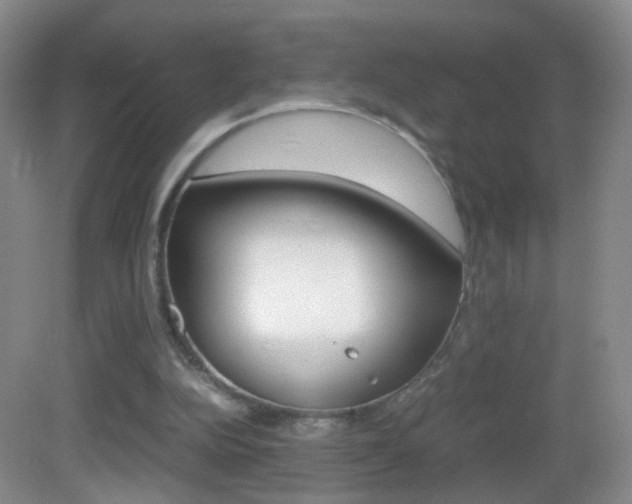 X0000083060152200702021045