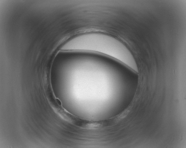 X0000083060158200702021045