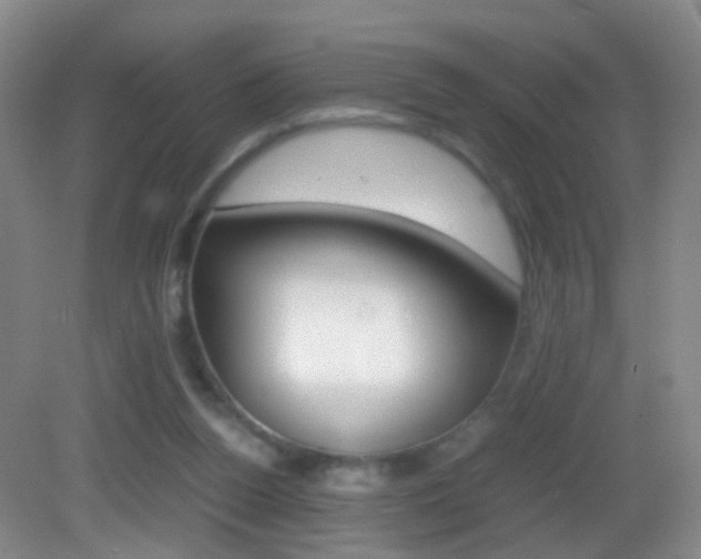 X0000083060160200702021045
