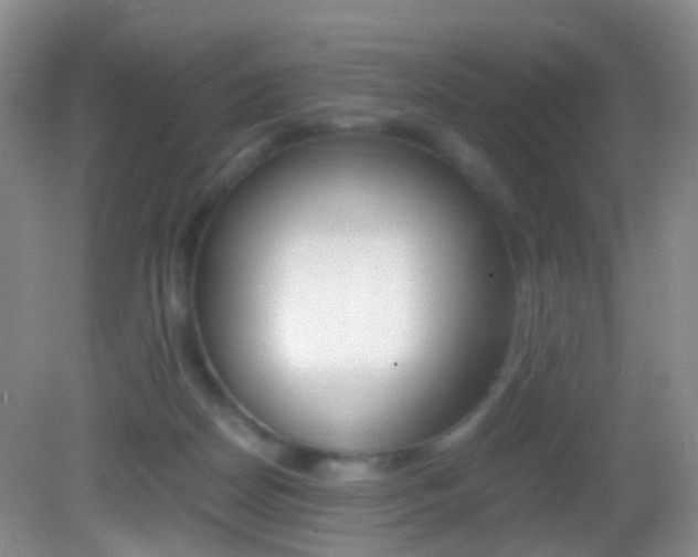 X0000083060170200702021045