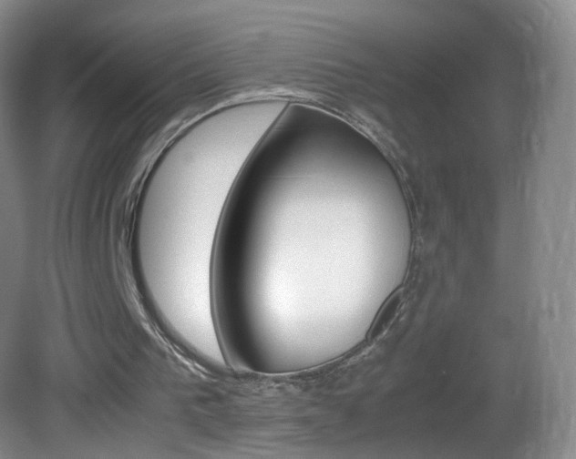 X0000083060193200702021045