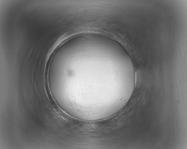 X0000083060195200702021045