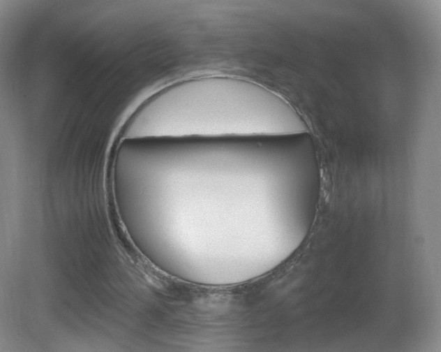 X0000083060196200702021045