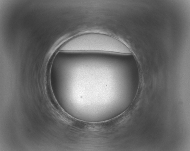 X0000083060199200702021044