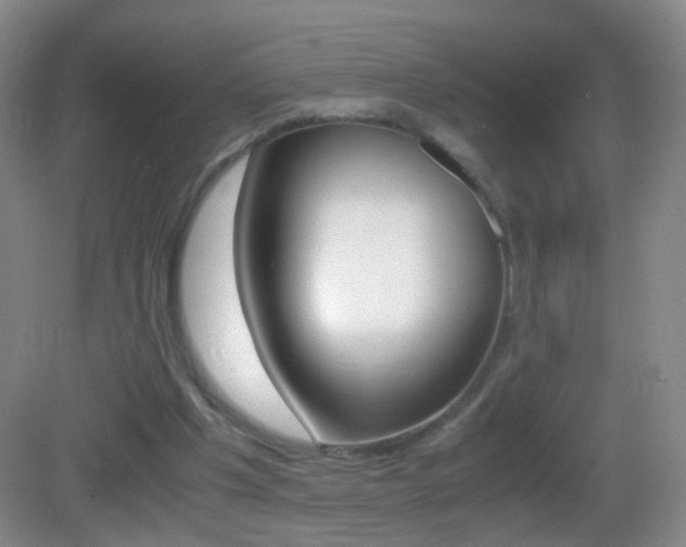 X0000083060201200702021044