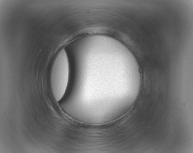 X0000083060202200702021044