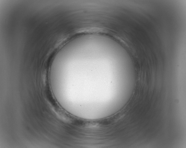 X0000083060206200702021044