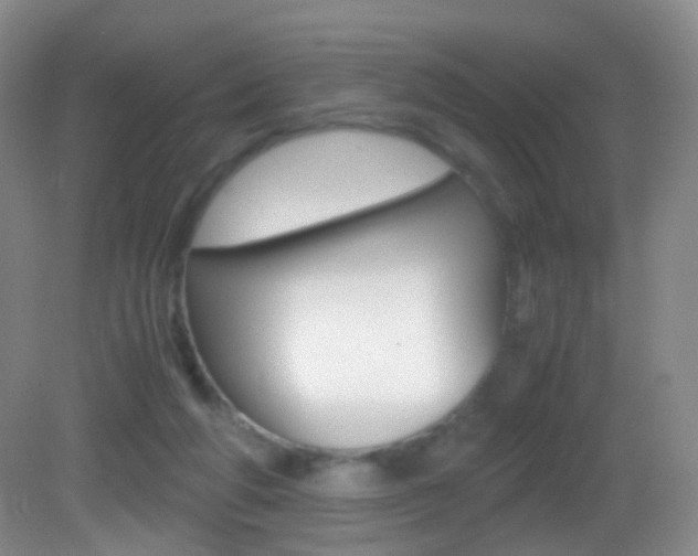 X0000083060210200702021044