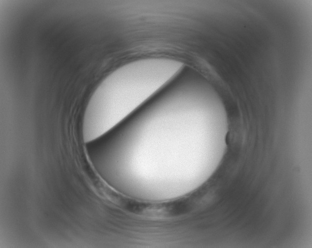 X0000083060213200702021044