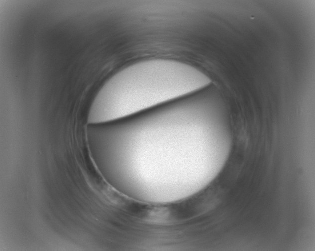 X0000083060214200702021044