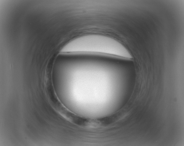 X0000083060215200702021044