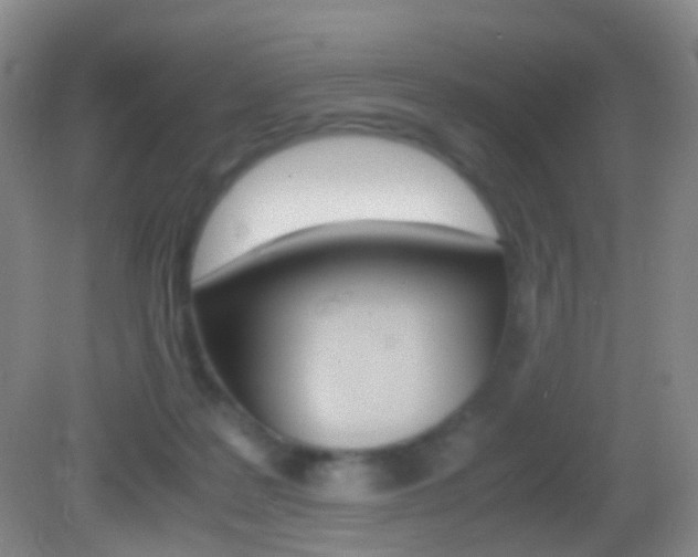 X0000083060219200702021044