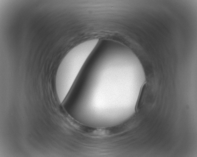 X0000083060225200702021044