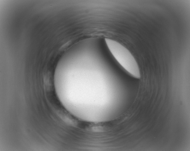 X0000083060228200702021044