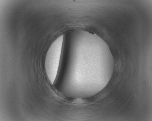 X0000083060231200702021044