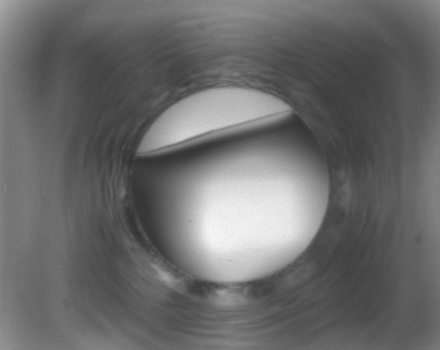 X0000083060232200702021044