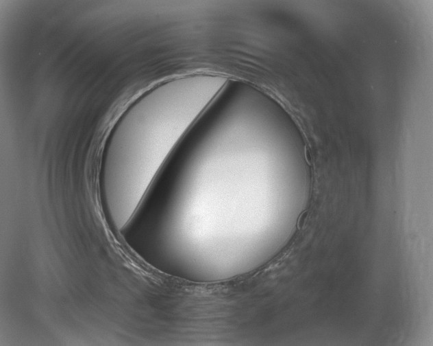 X0000083060241200702021043